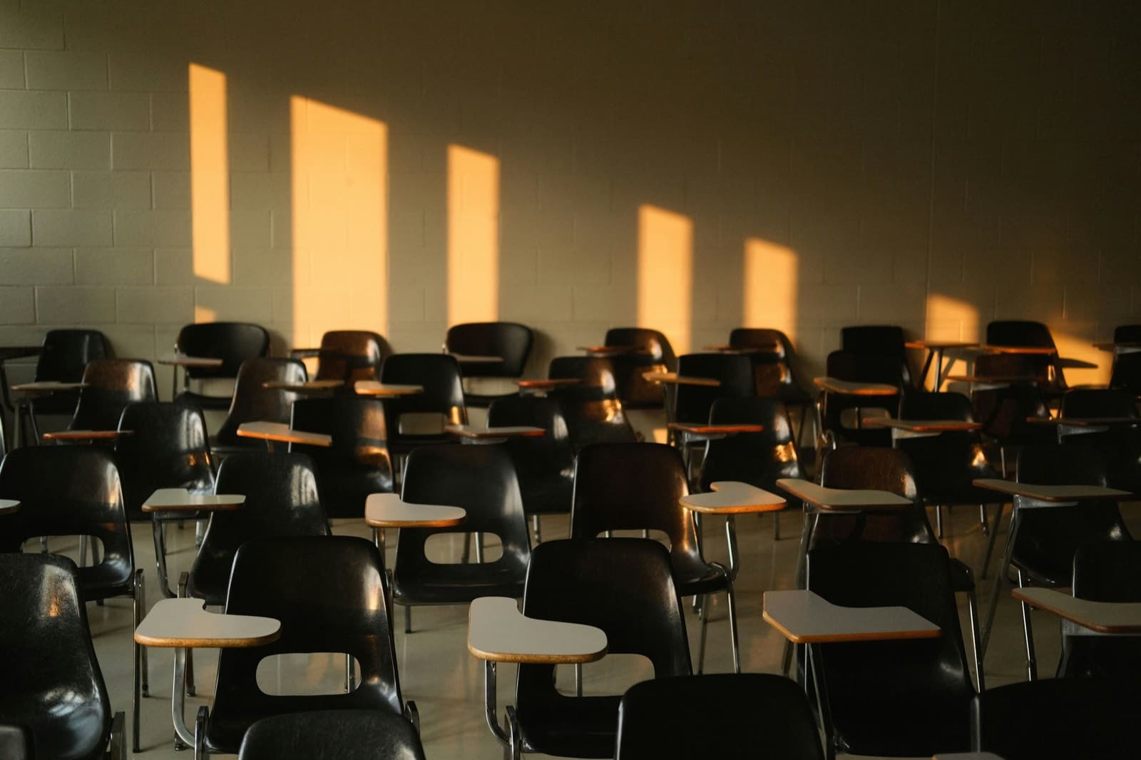 Leerer heller Klassenraum mit Holztischen und Stühlen, durch die Fenster fällt Sonnenlicht